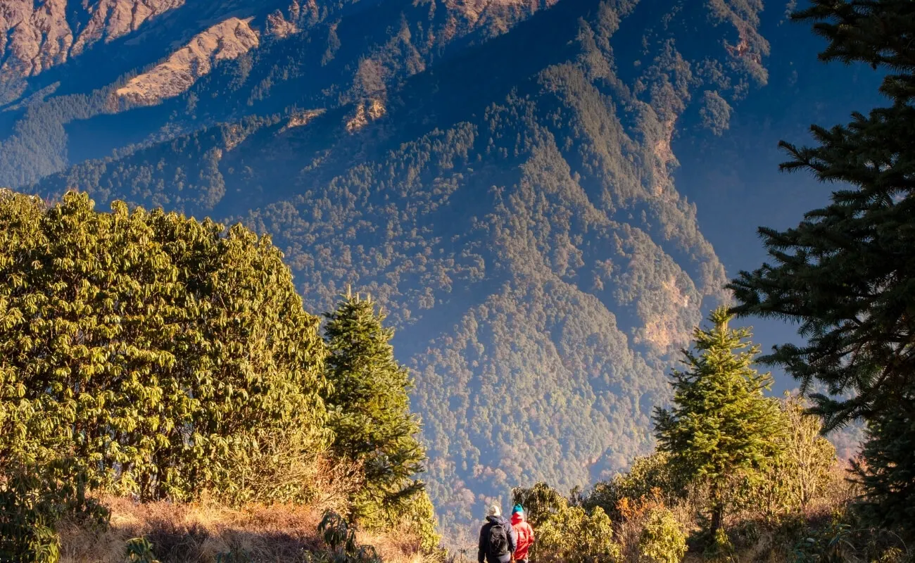 Ghorepani Poon Hill Trek